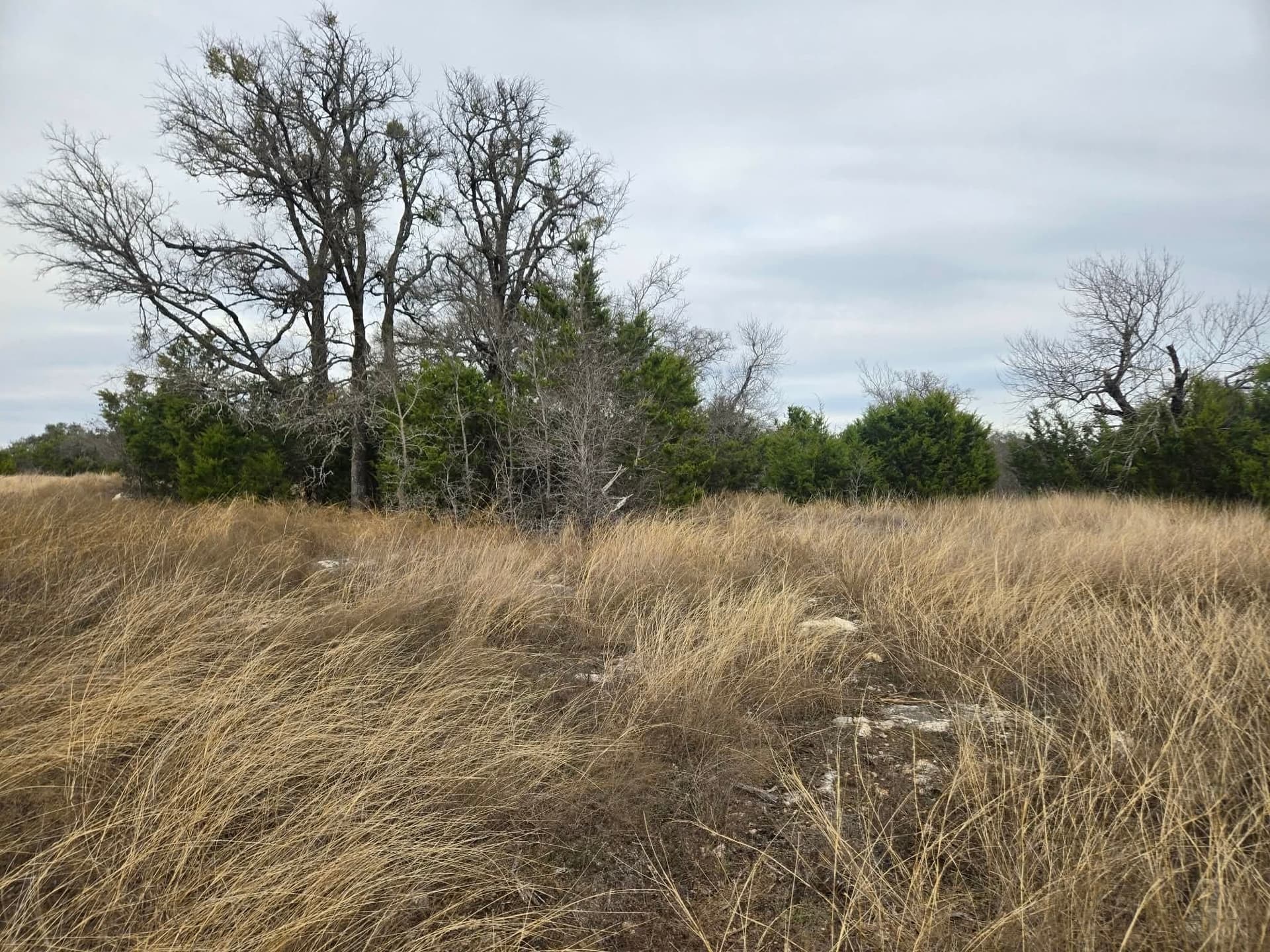 6.05 acres in Coryell County - photo 8