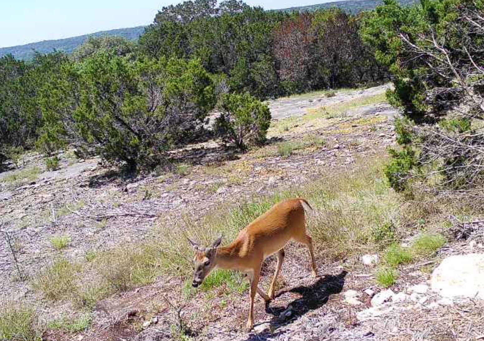 6.05 acres in Coryell County