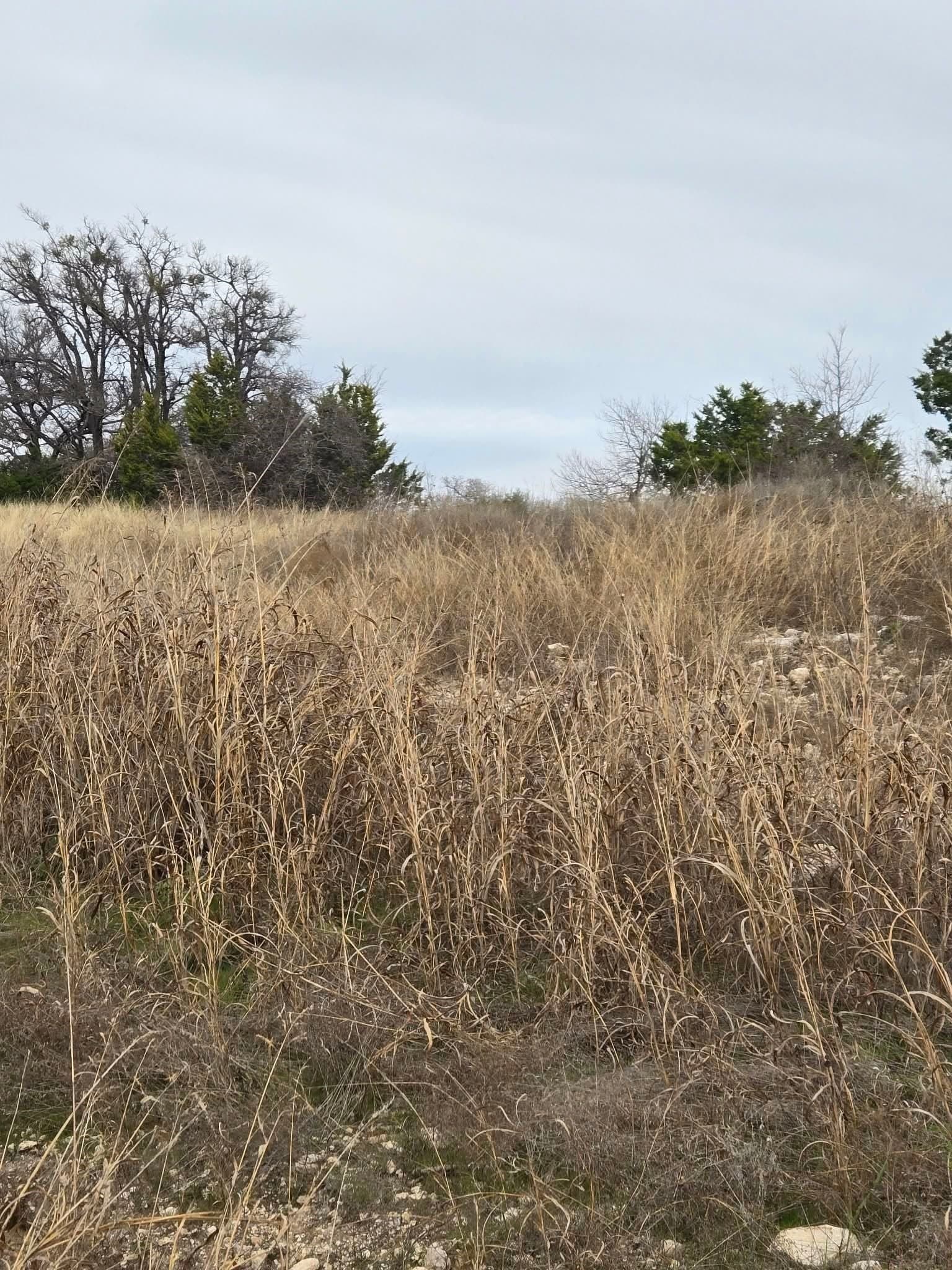 6.05 acres in Coryell County - photo 4
