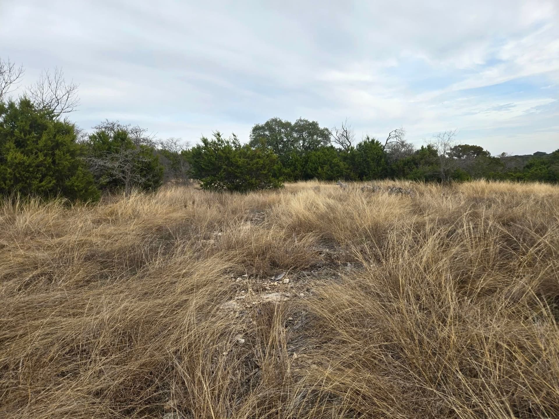 6.05 acres in Coryell County - photo 5
