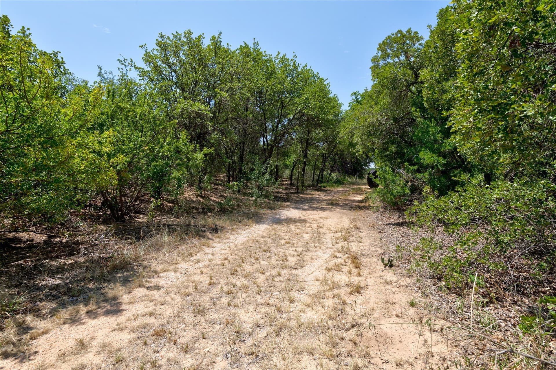 37.47 acres in Jones County - photo 29