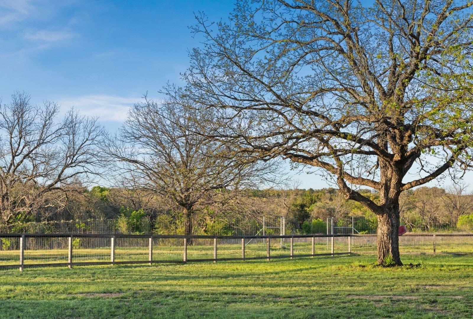 15.1 acres in Travis County - photo 18