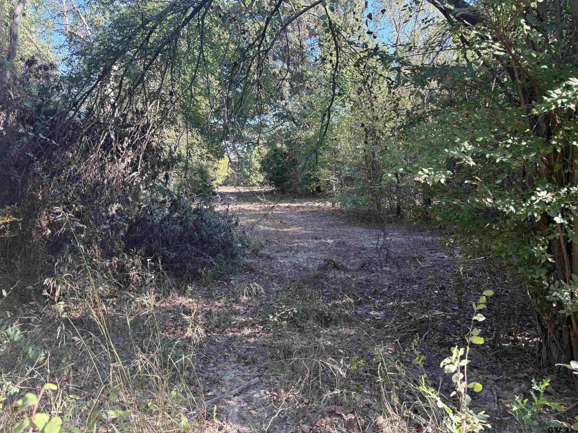 12 acres in Henderson County featured view