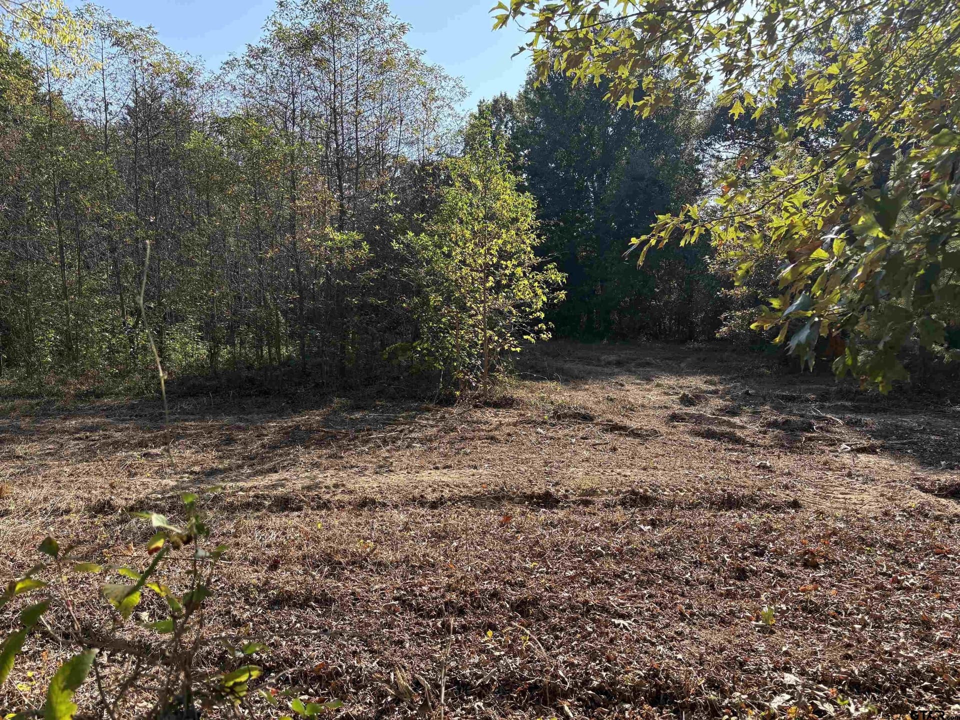 12 acres in Henderson County gallery image 2