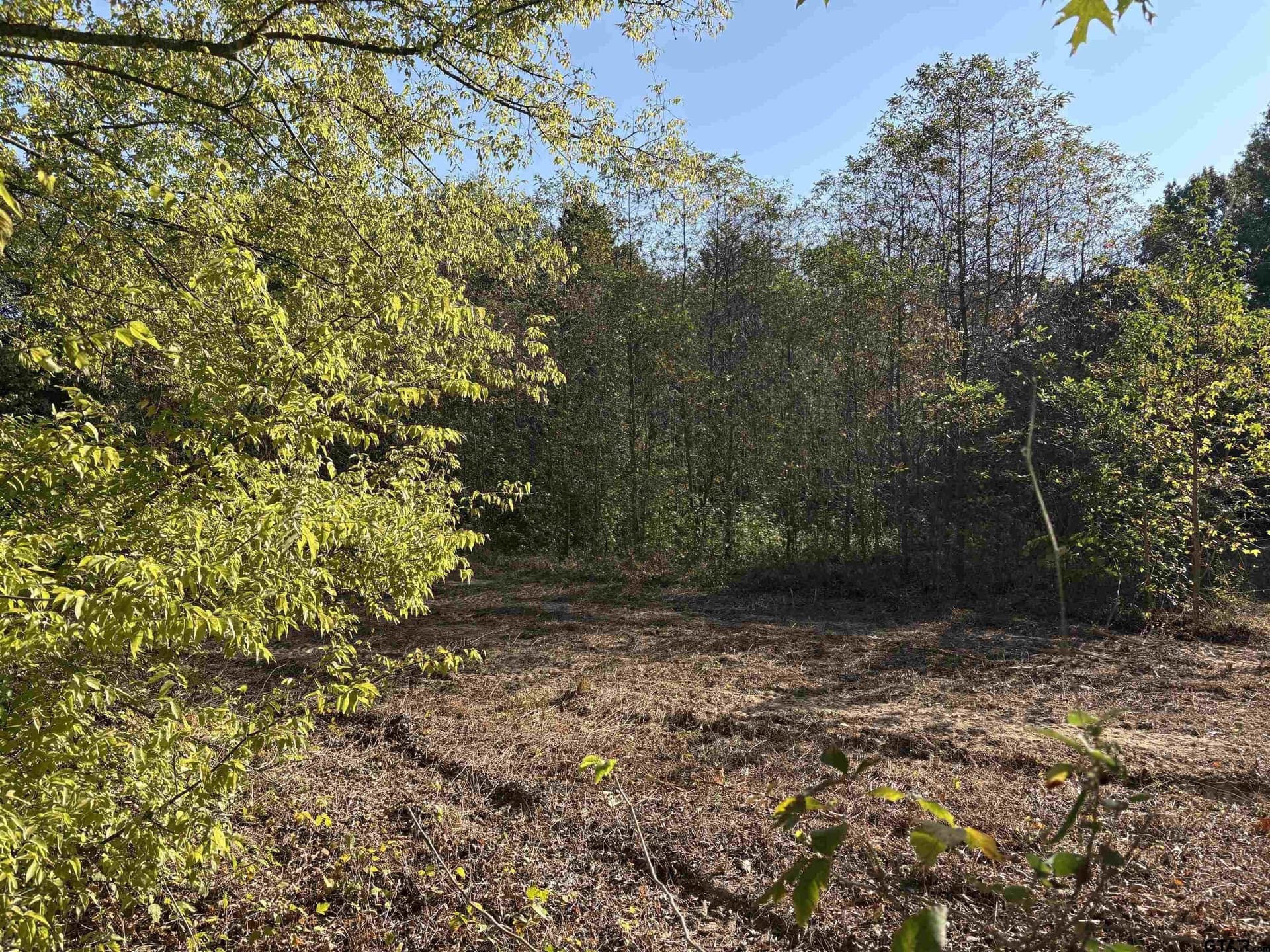 12 acres in Henderson County