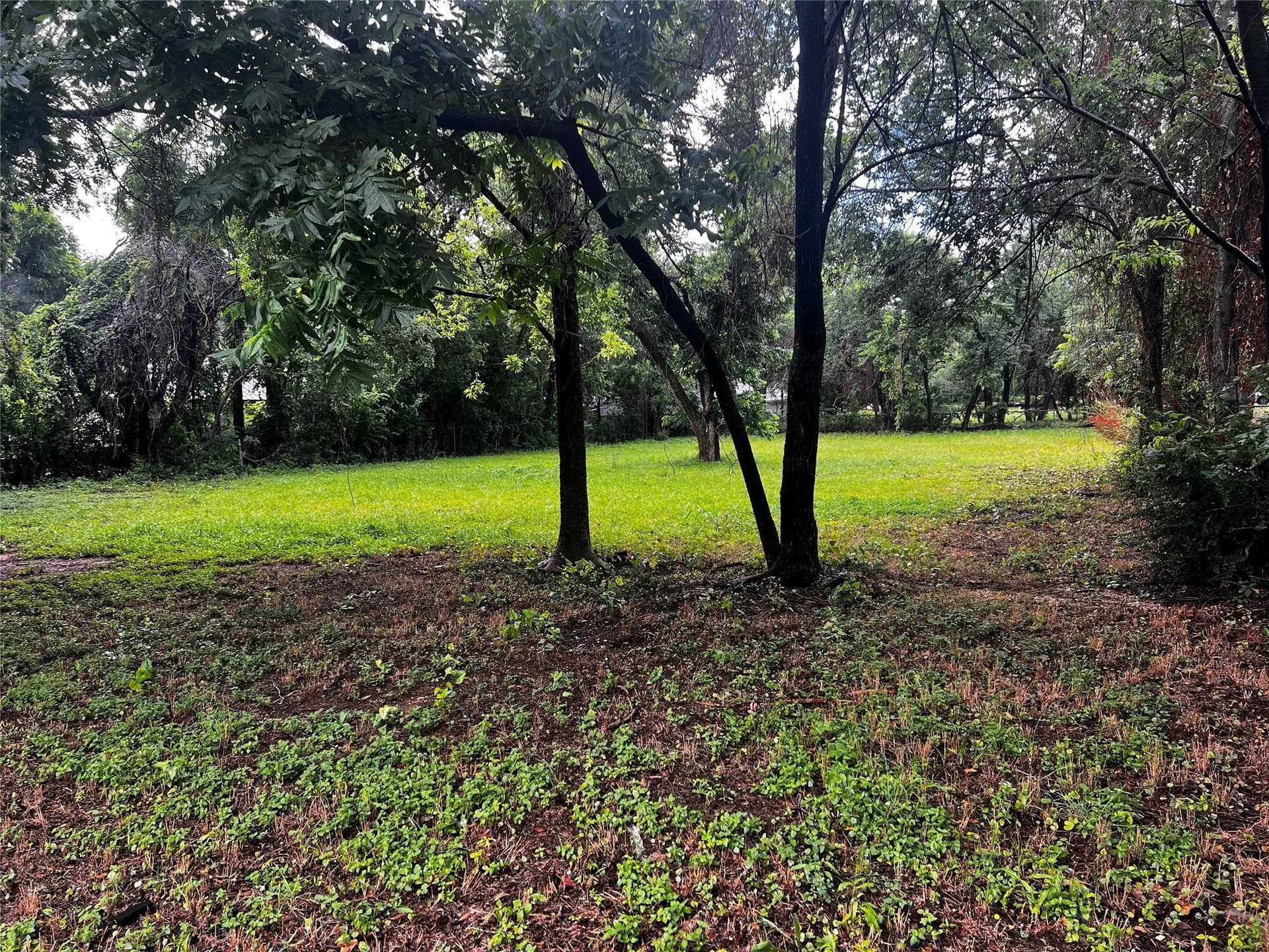0.41 acres in Denton County gallery image 4