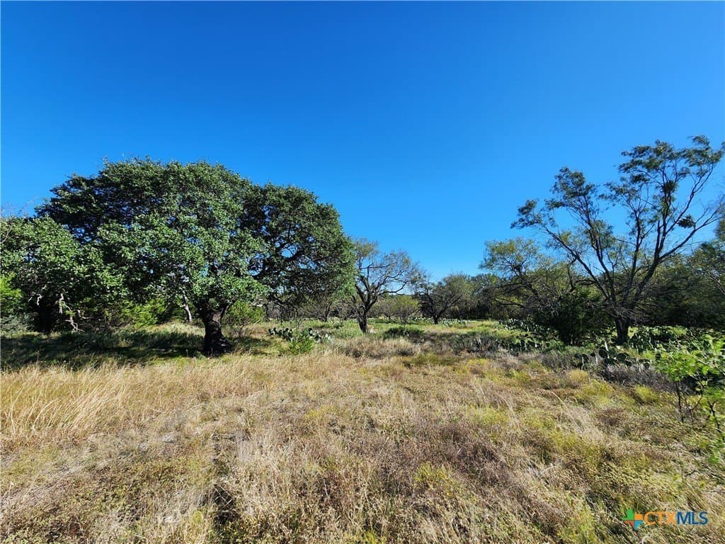 5.16 acres in Burnet County - photo 12
