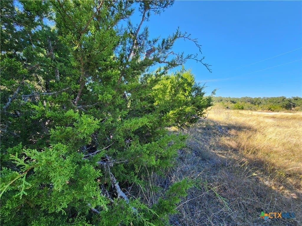 5.16 acres in Burnet County - photo 9