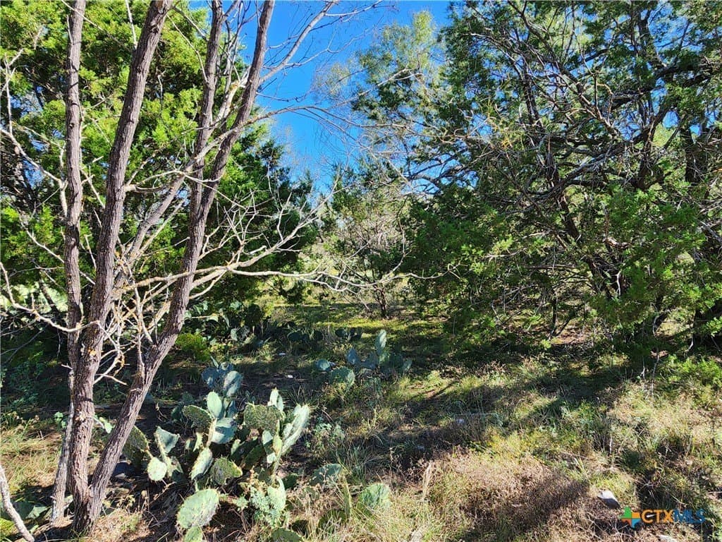 5.16 acres in Burnet County - photo 17