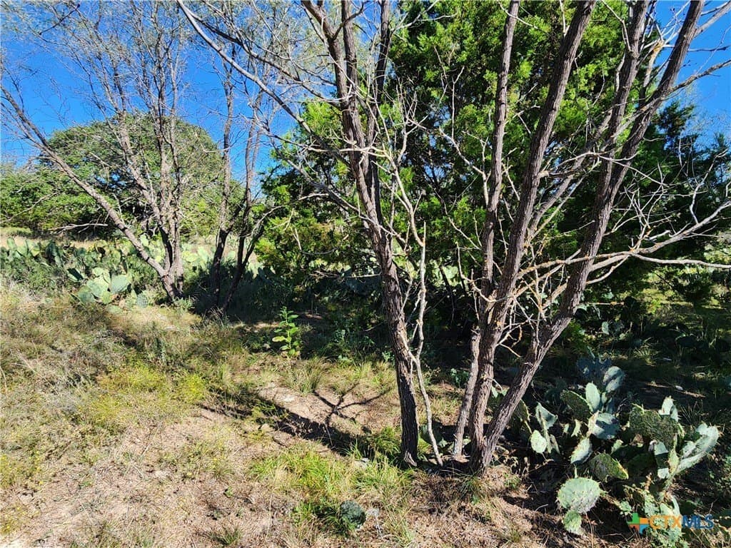 5.16 acres in Burnet County - photo 16
