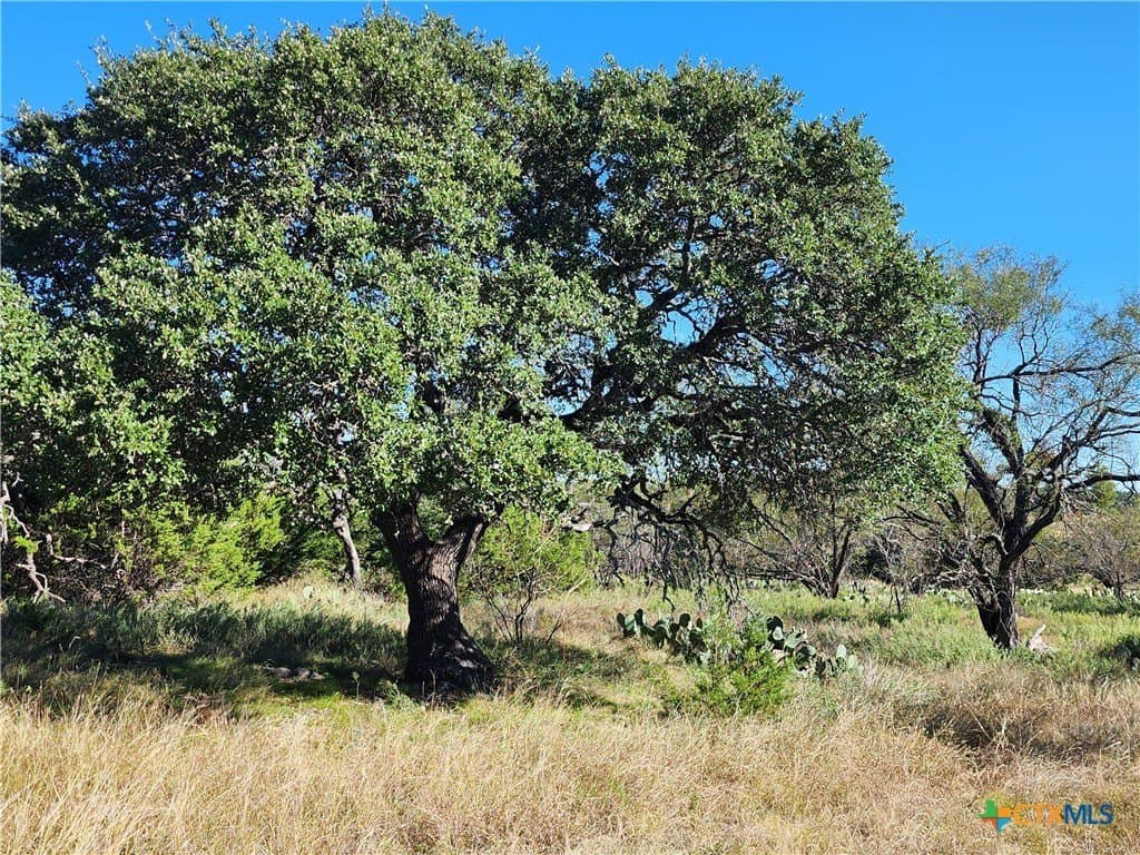 5.16 acres in Burnet County gallery image 2