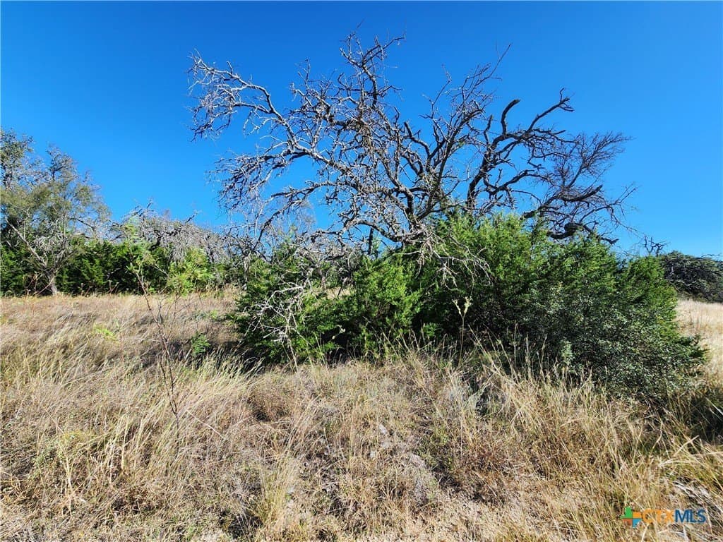 5.16 acres in Burnet County - photo 14