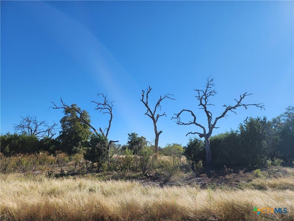 5.16 acres in Burnet County gallery image 3