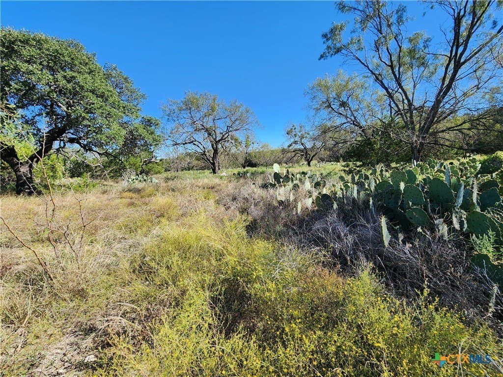 5.16 acres in Burnet County - photo 13