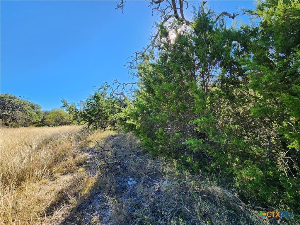 5.16 acres in Burnet County - photo 10