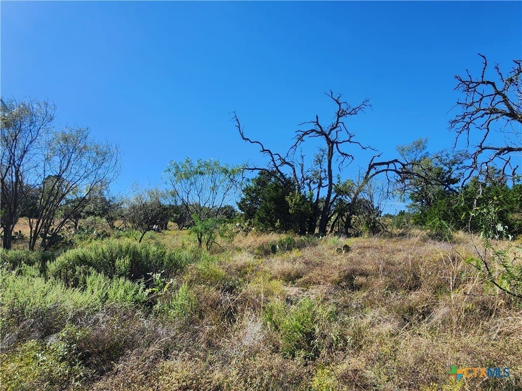 5.16 acres in Burnet County - photo 15