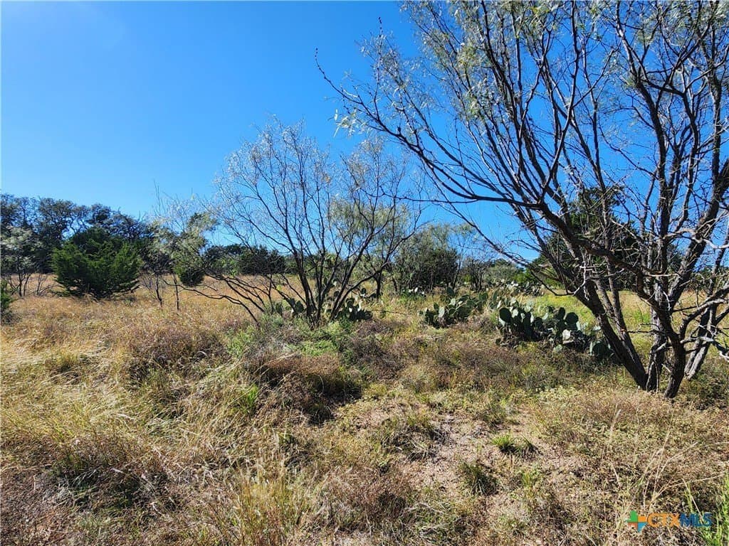 5.16 acres in Burnet County - photo 19