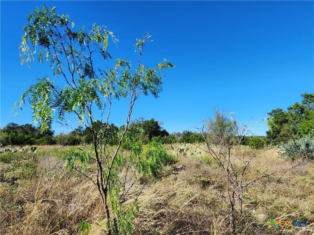 5.16 acres in Burnet County - photo 20
