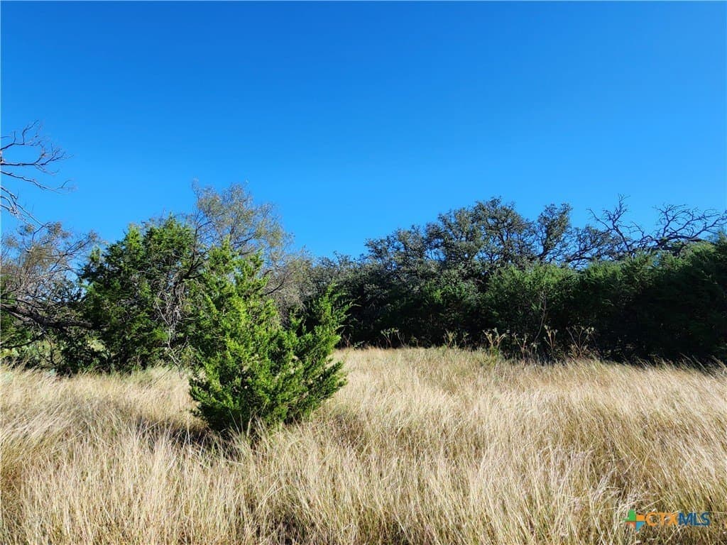 5.16 acres in Burnet County - photo 21
