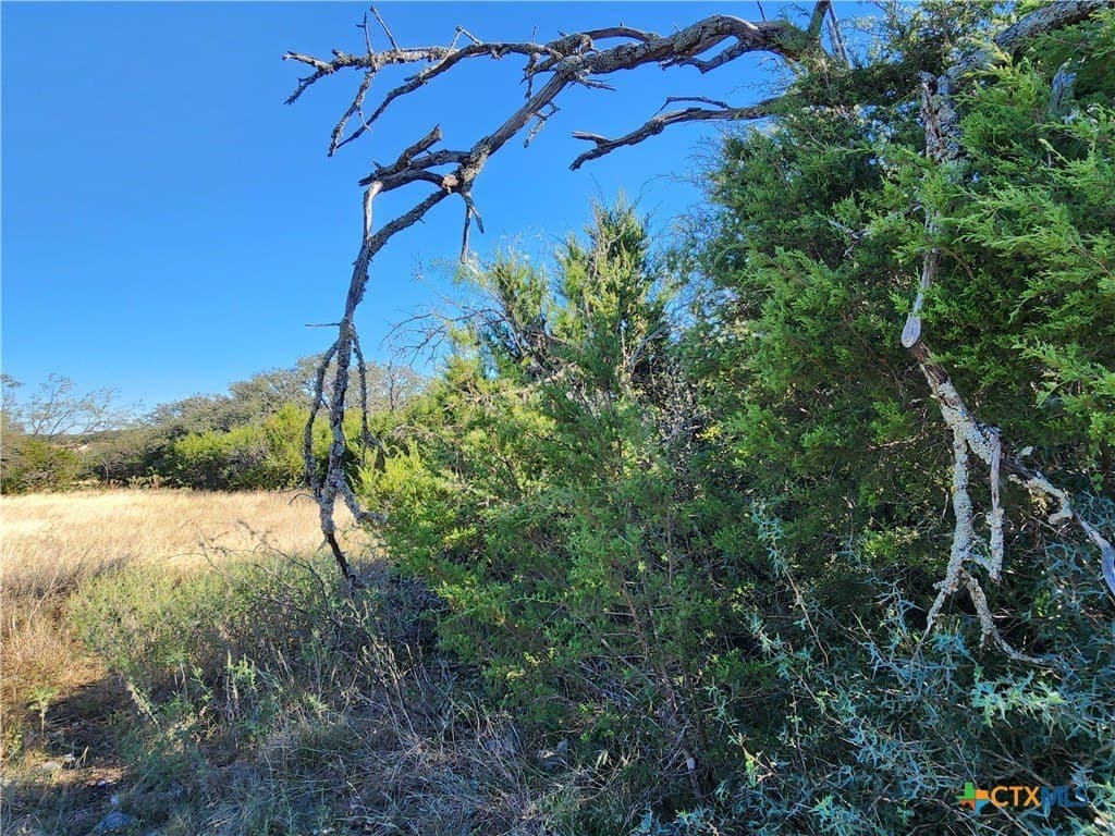 5.16 acres in Burnet County - photo 22