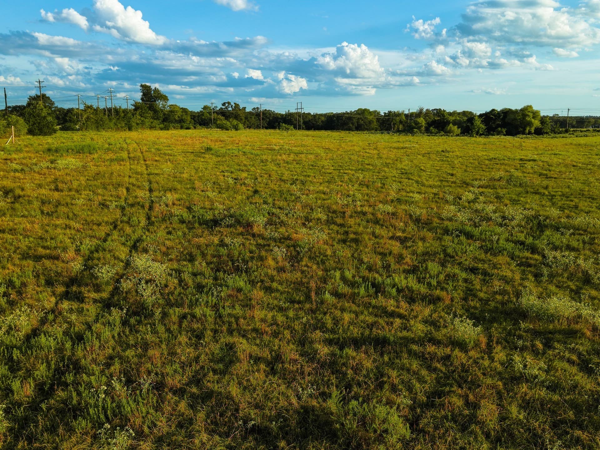 10 acres in Freestone County - photo 5