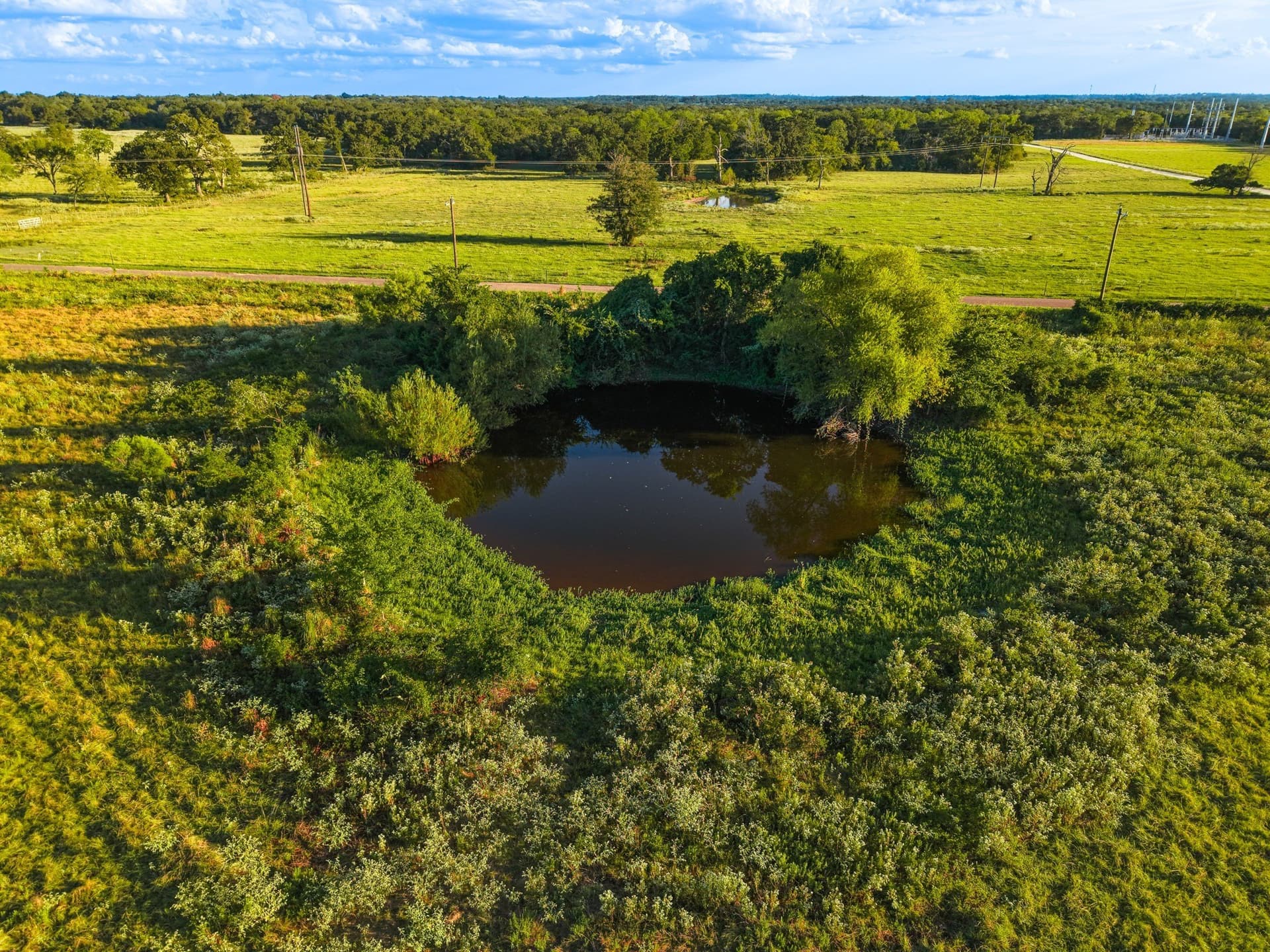 10 acres in Freestone County - photo 8