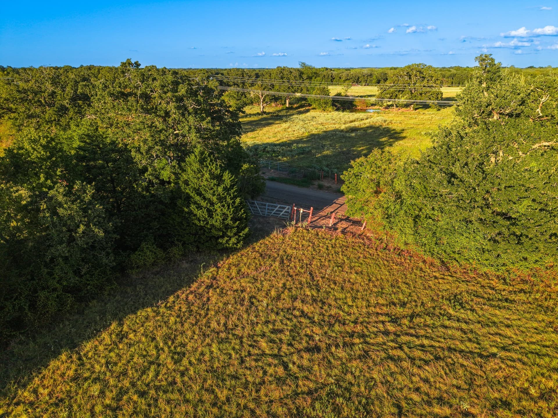 10 acres in Freestone County - photo 13