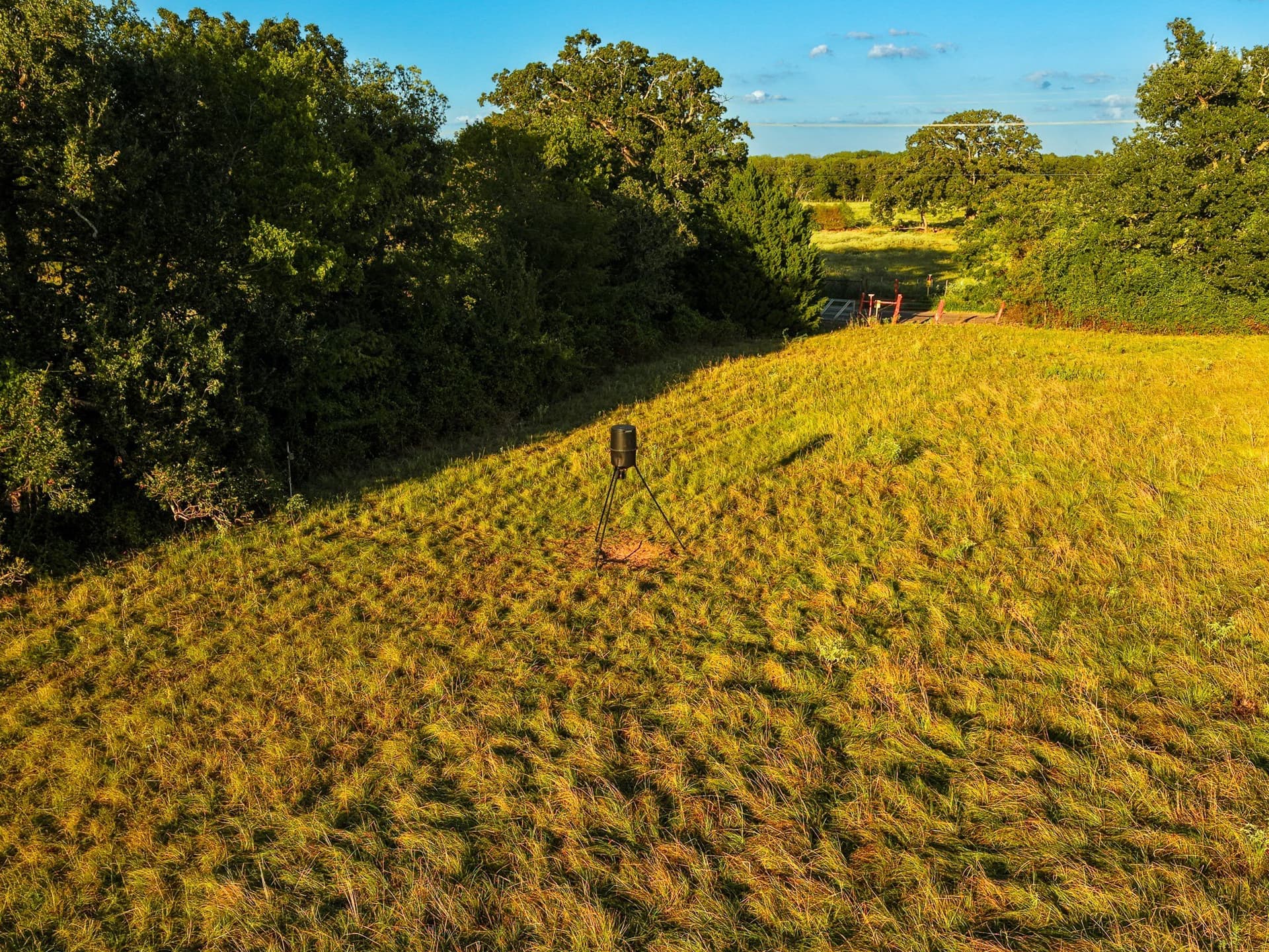 10 acres in Freestone County - photo 6