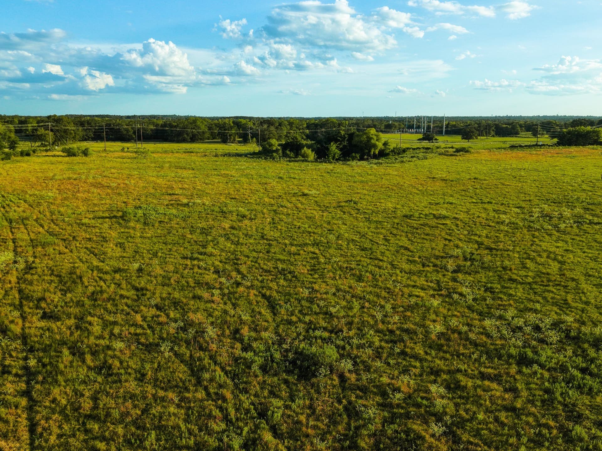 10 acres in Freestone County - photo 4