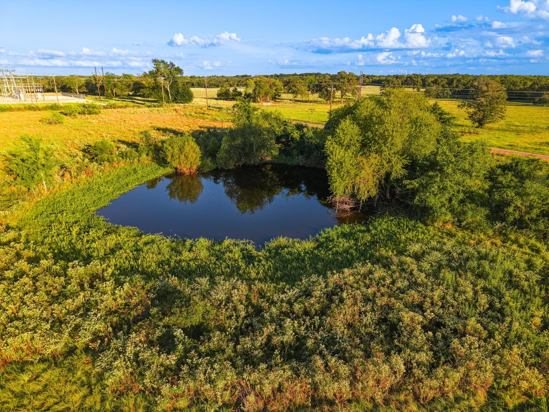 10 acres in Freestone County - photo 7
