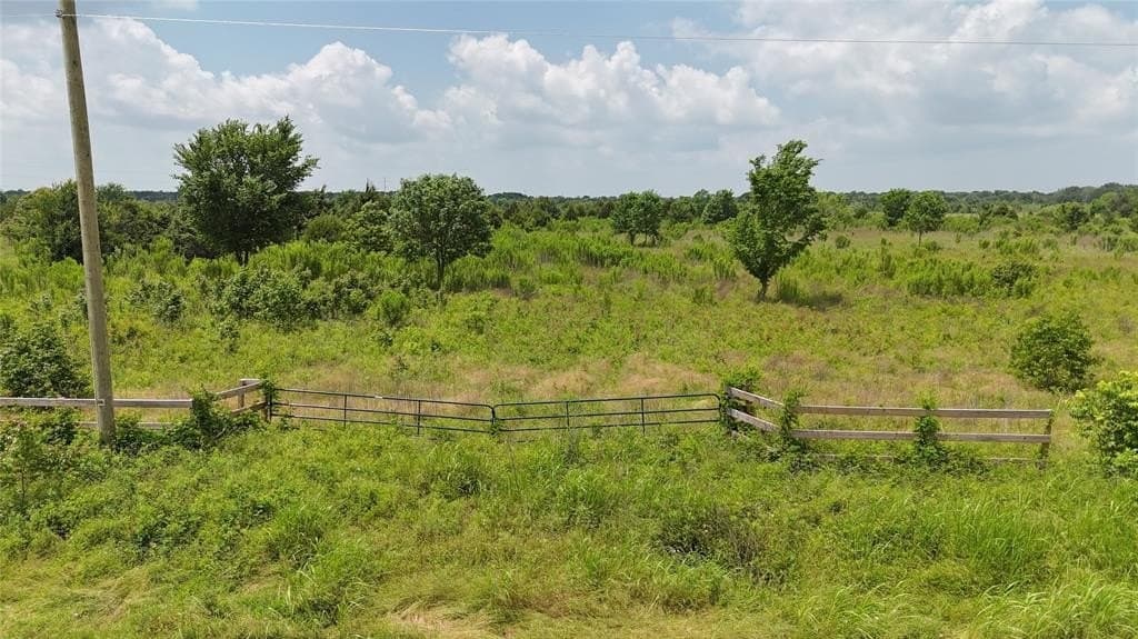 10.96 acres in Navarro County gallery image 4