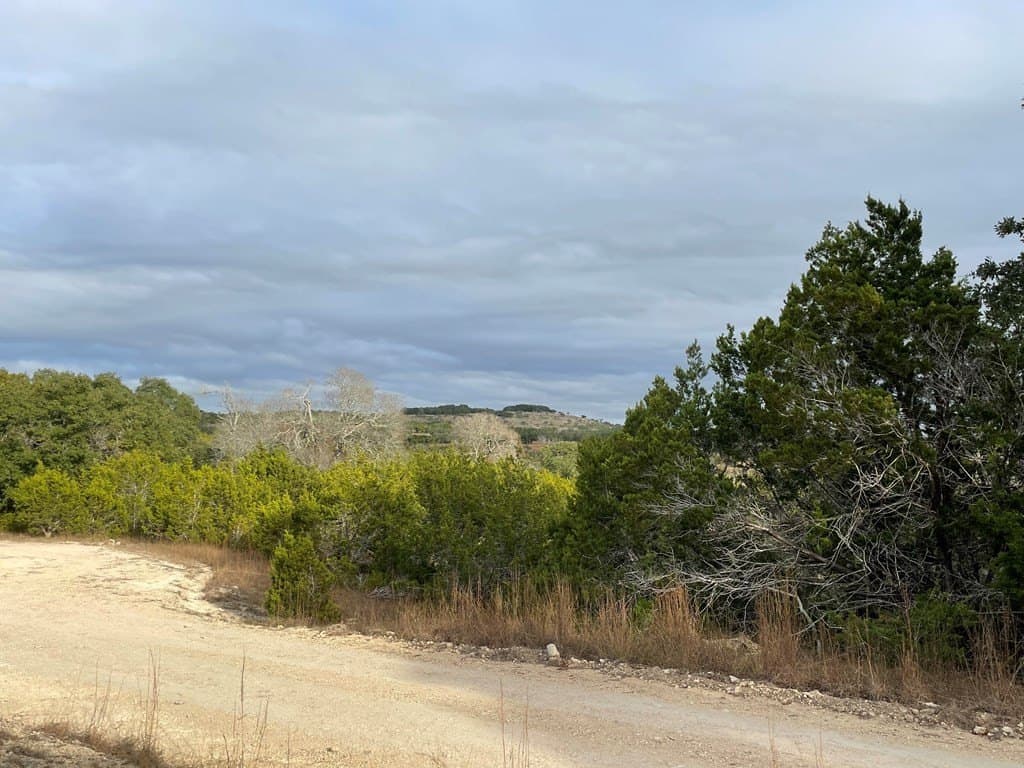 5.1 acres in Blanco County gallery image 3