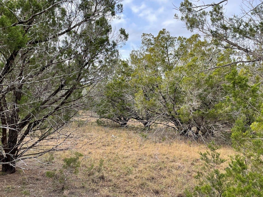 5.1 acres in Blanco County featured view