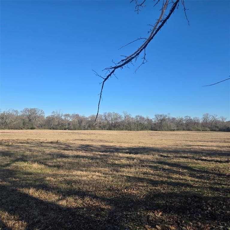 36 acres in Smith County gallery image 2