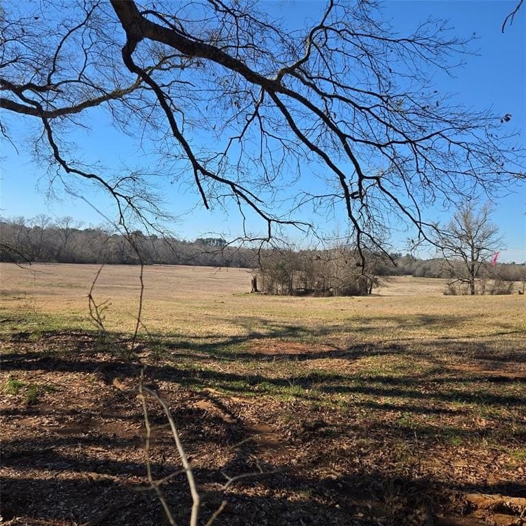 36 acres in Smith County gallery image 4