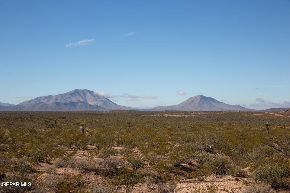 20.1 acres in Hudspeth County featured view