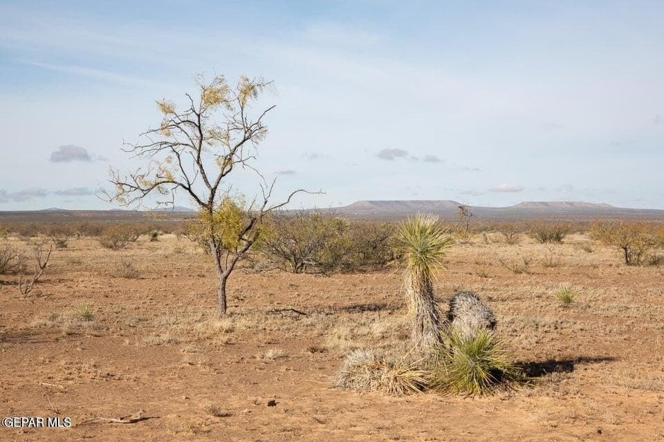 20.1 acres in Hudspeth County gallery image 4