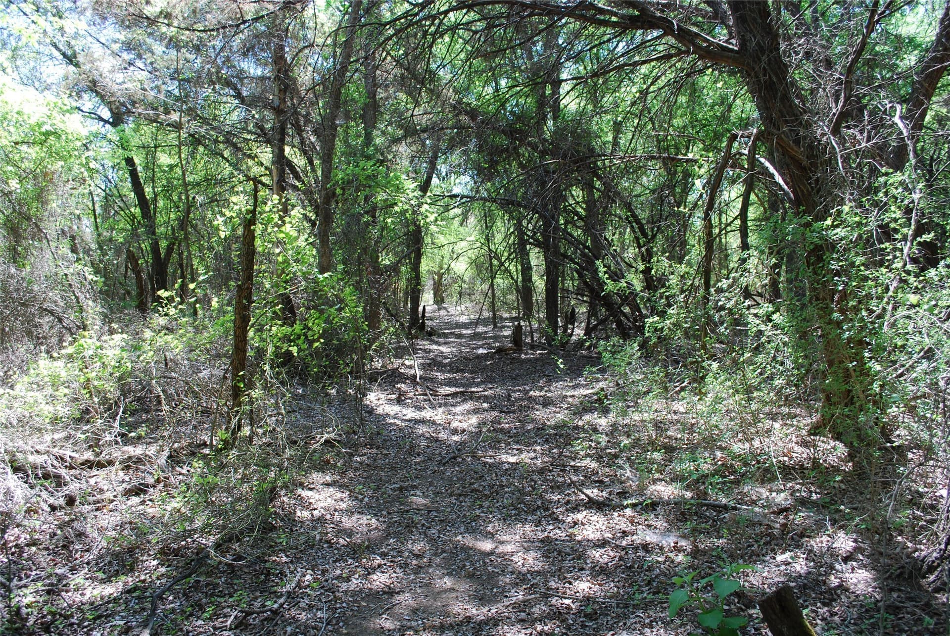 0.61 acres in Hill County - photo 10