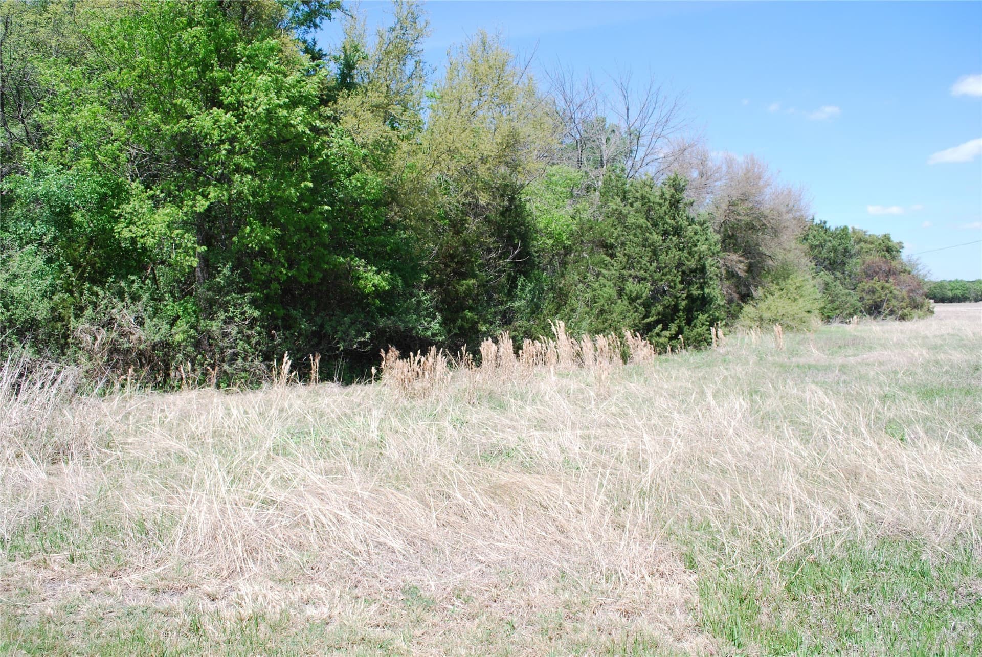 0.61 acres in Hill County - photo 12