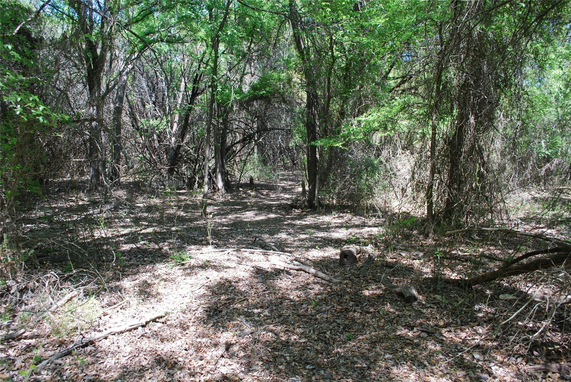 0.61 acres in Hill County gallery image 4