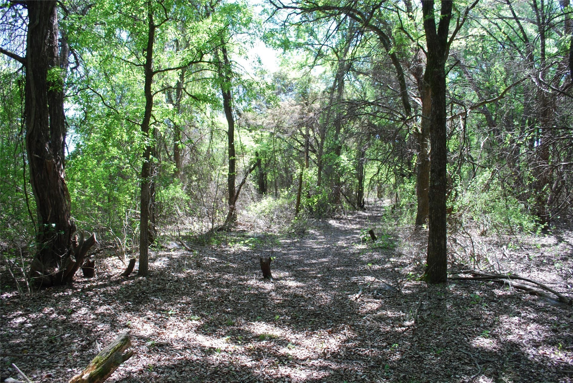0.61 acres in Hill County - photo 8