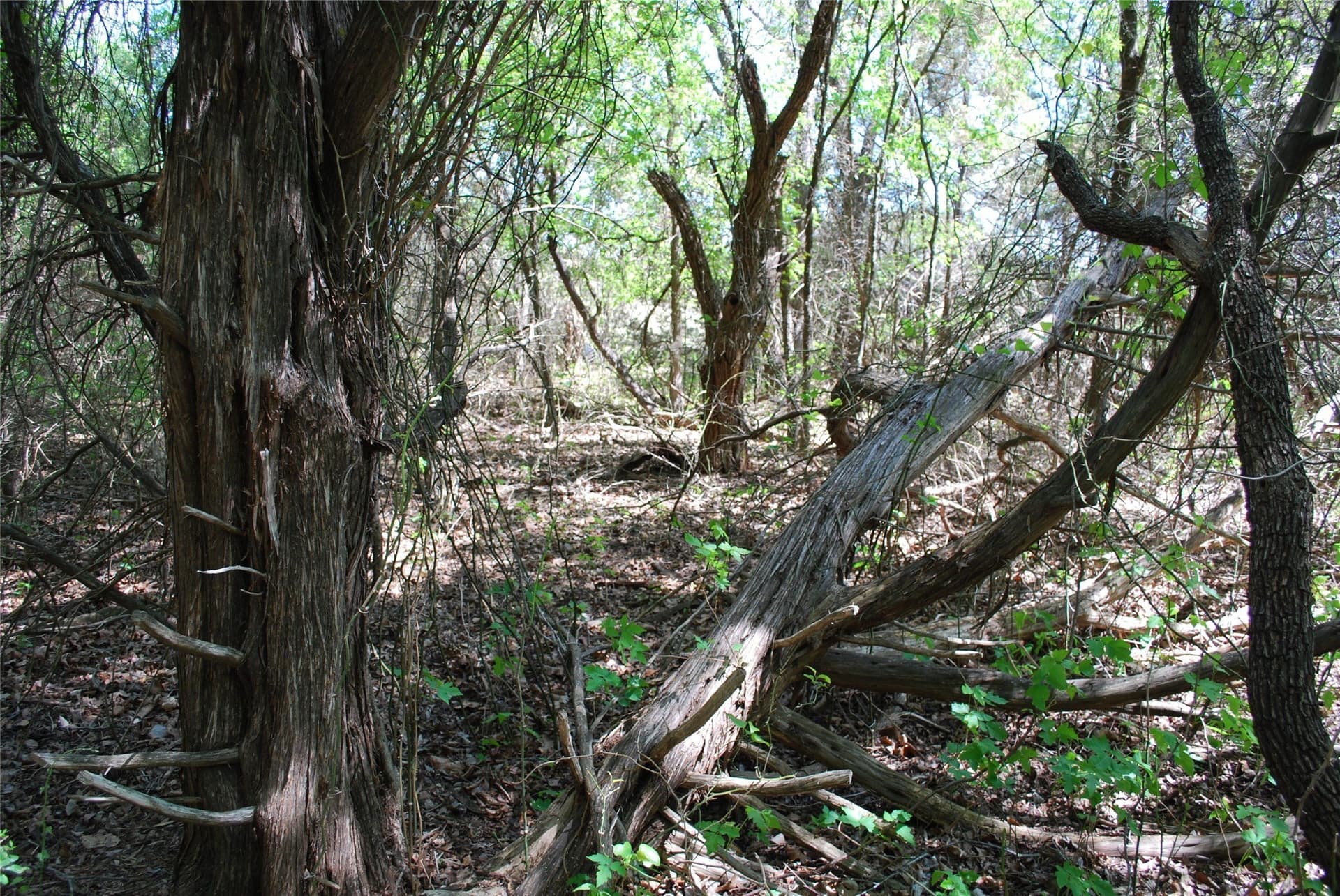 0.61 acres in Hill County - photo 6