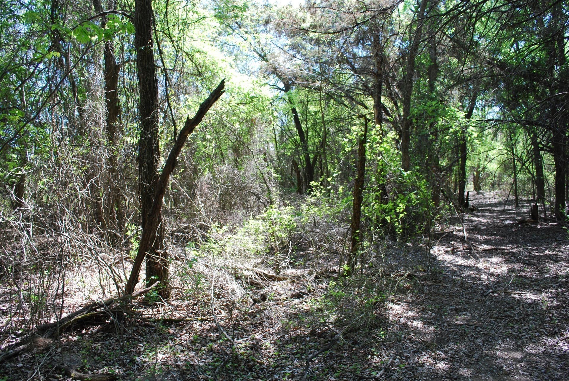 0.61 acres in Hill County - photo 11