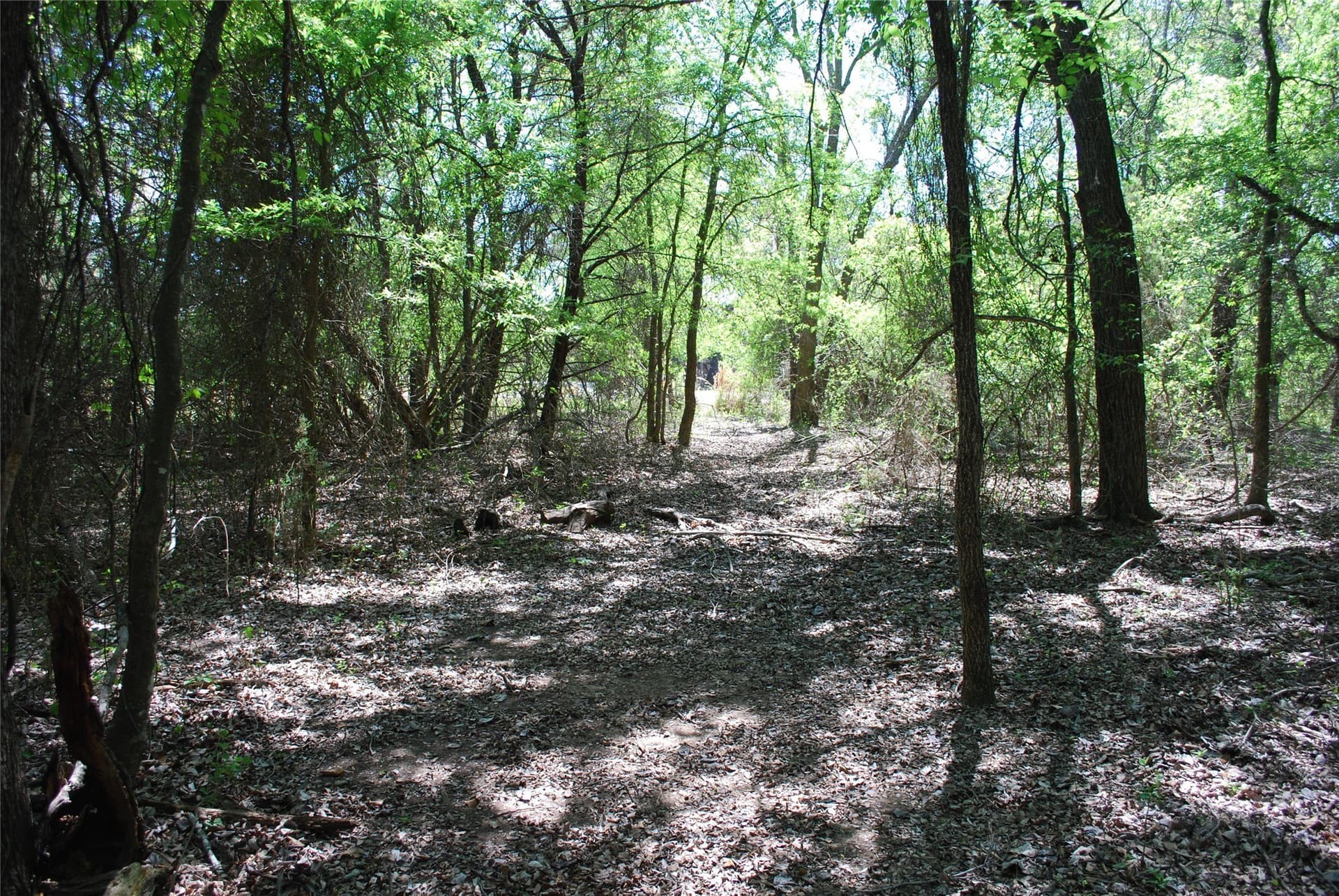 0.61 acres in Hill County featured view