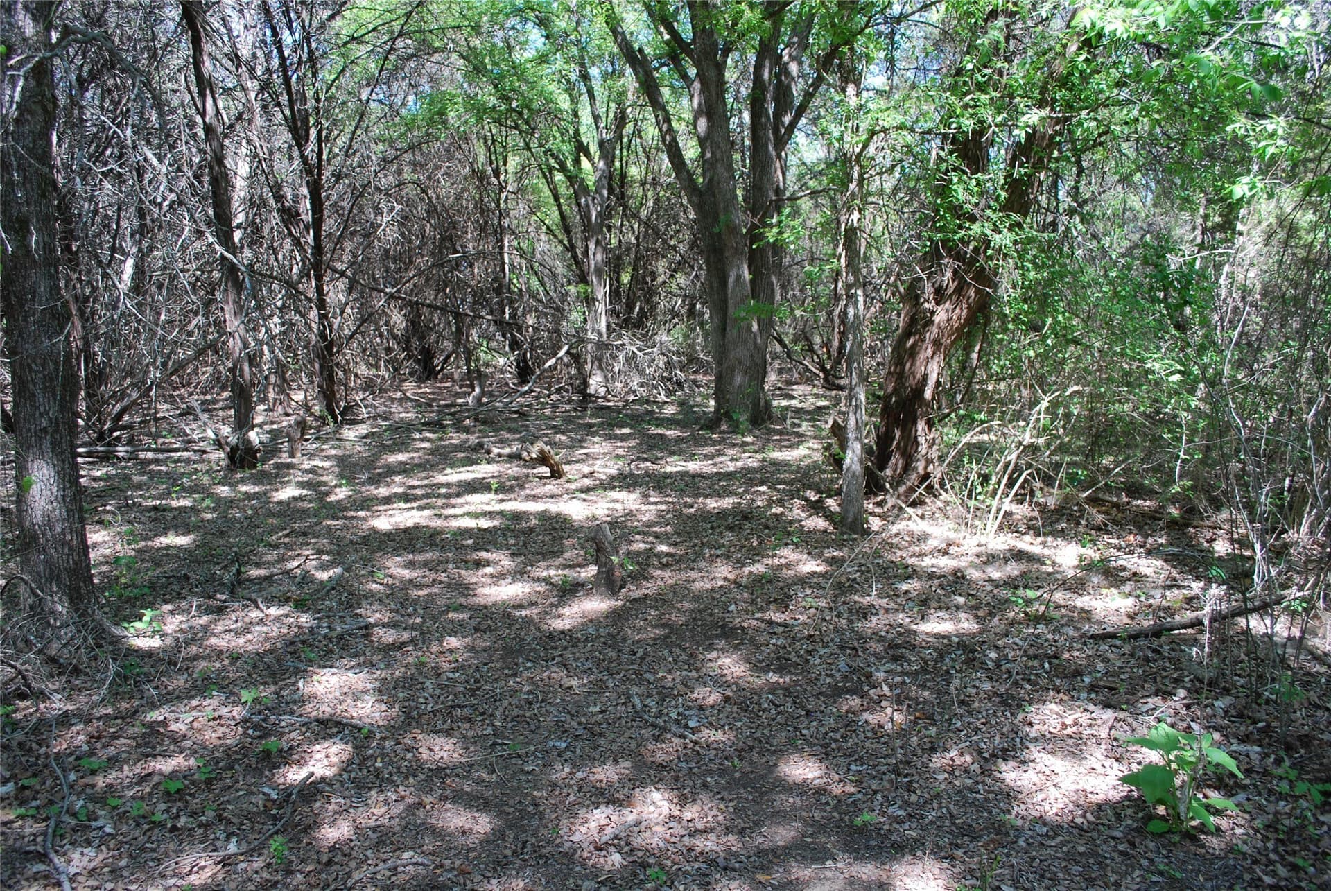 0.61 acres in Hill County - photo 7