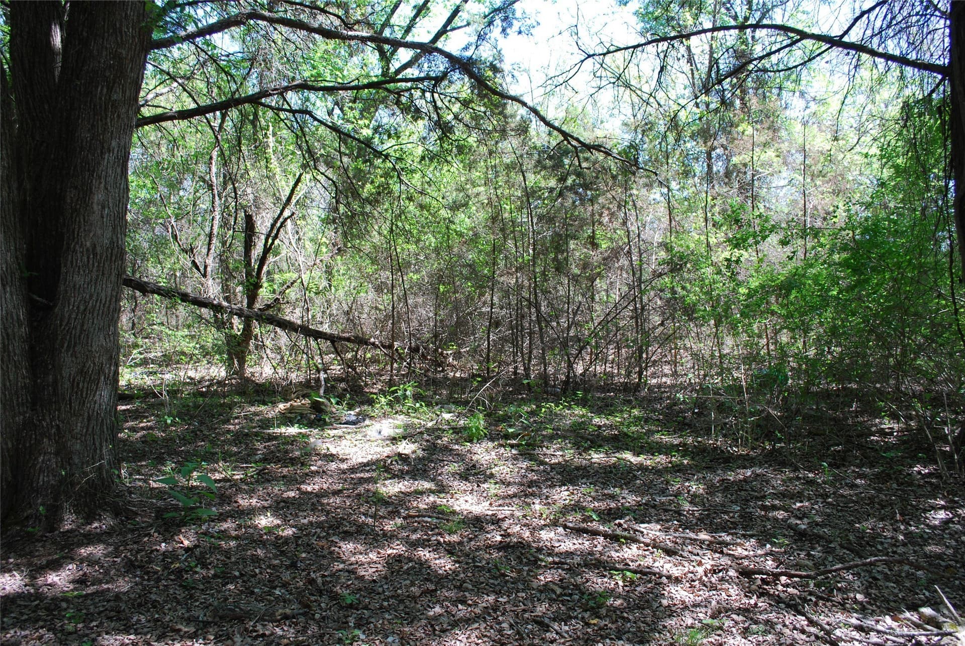 0.61 acres in Hill County - photo 9