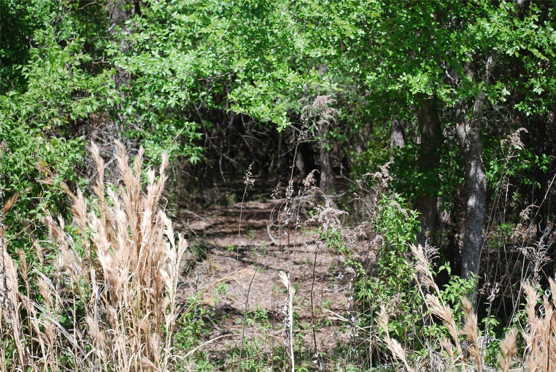 0.61 acres in Hill County gallery image 3