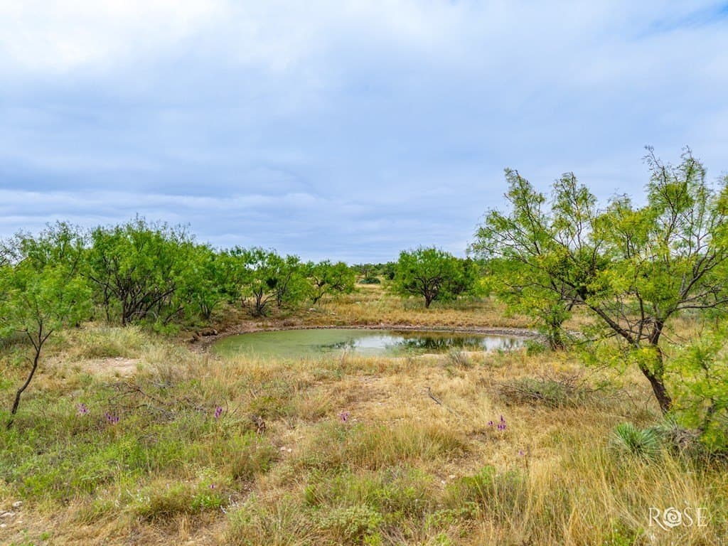 193.84 acres in Concho County - photo 35