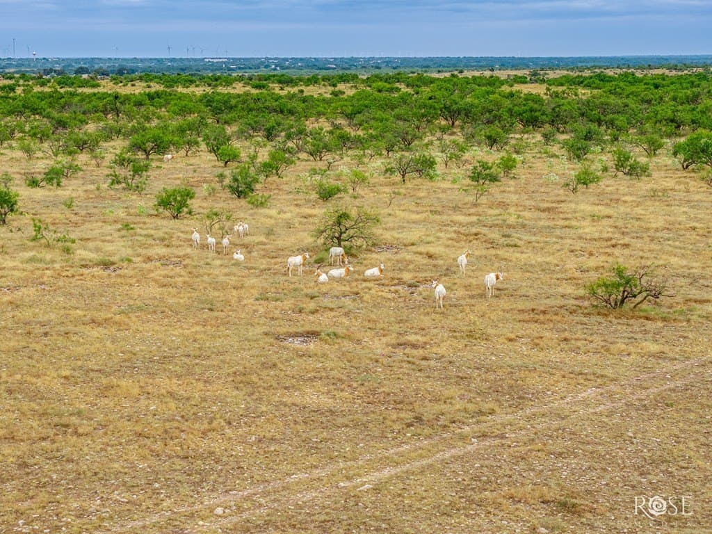193.84 acres in Concho County - photo 65