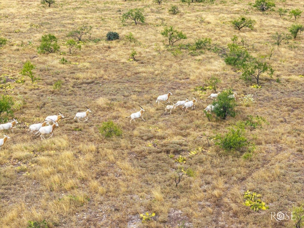 193.84 acres in Concho County - photo 67